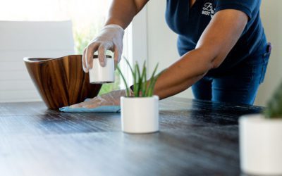 How Commercial Office Cleaning Services Vary By Industry